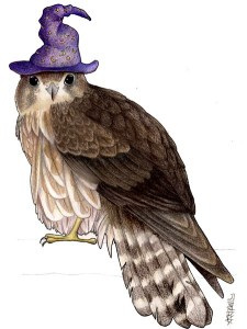 Merlin in a Wizards Hat
