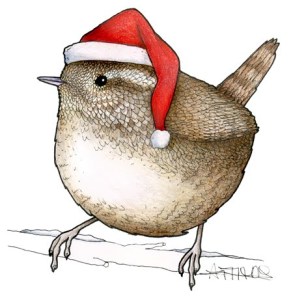 Winter Wren in a Santa Hat