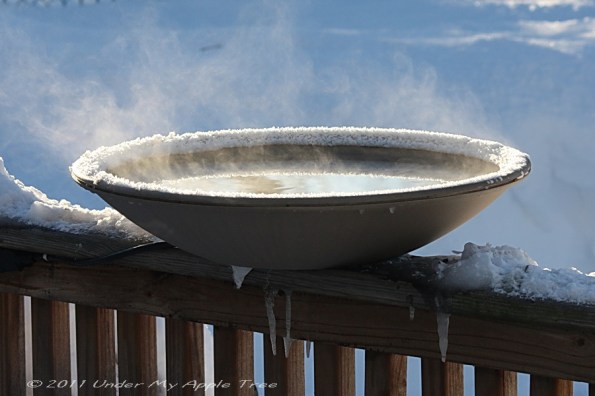 Heated Bird Bath