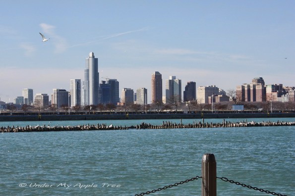 Chicago Lakefront South