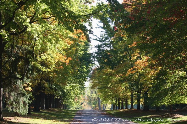 St.JamesFarm_IMG_0257