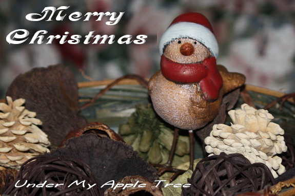 ChristmasBird2011_IMG_3989