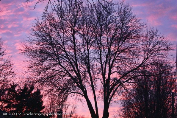 Sunset_IMG_0699 Sunset