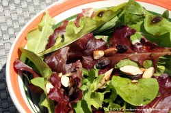 BasilViniagretteSalad_IMG_2212