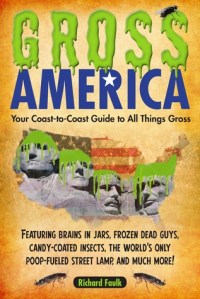 Gross America by Richard Faulk