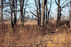 WolfRdPrairie_IMG_3447