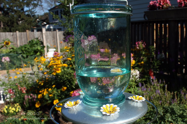 HummingbirdFeeder_IMG_9288
