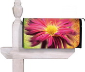 Lg-Gerbera_Mailbox