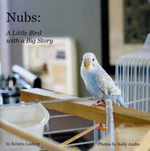 Nubs: A Little Bird with a Big Story