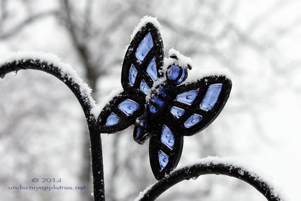 ButterflyHook_IMG_0613