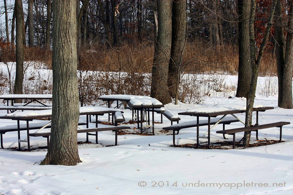 Picnic Tables - Churchill Woods_IMG_0597