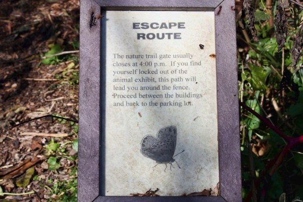 EscapeRoute_IMG_3045