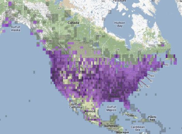 [eBird generated map of Robin sightings Dec 2013 - Feb 2014.]