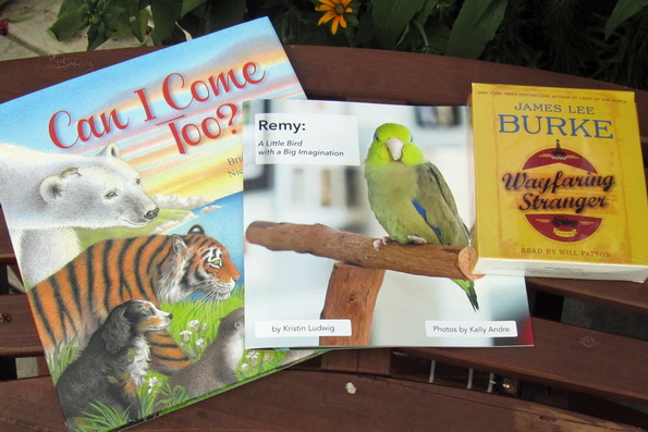 BooksJuly28_IMG_1453