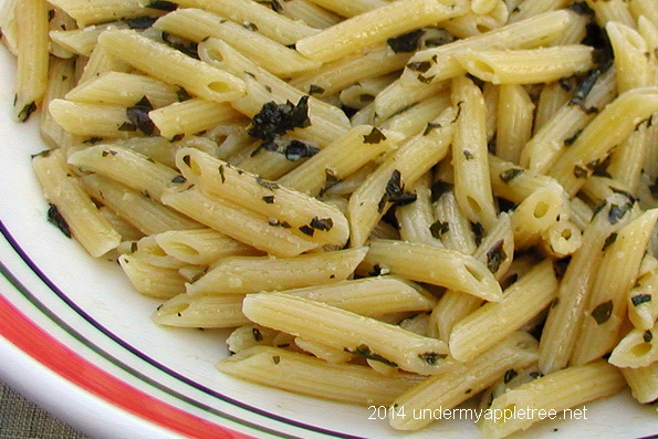 Penne with Pesto Sauce