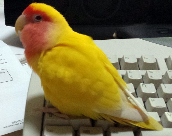 Hour16-Readathon_Charlie_20141017_155800