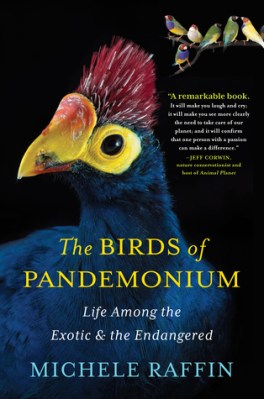 BirdsOfPandemonium