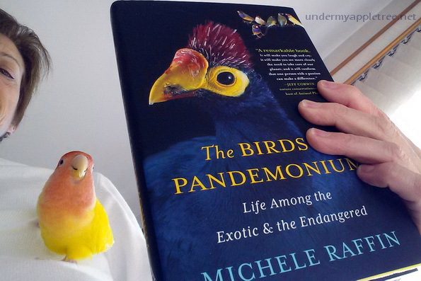 2015FirstBook_100429