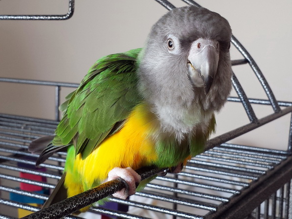 JentrieRoofTop-sml_104339