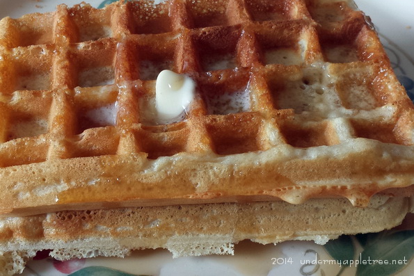 Homemade Waffles