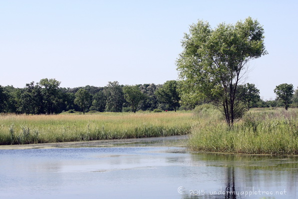Herrick Lake Forest Preserve