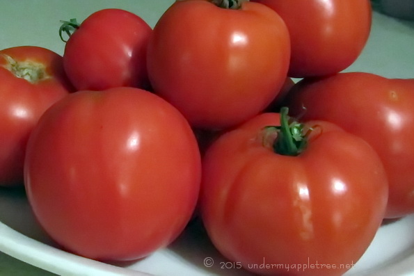 Tomatoes_IMG_0700