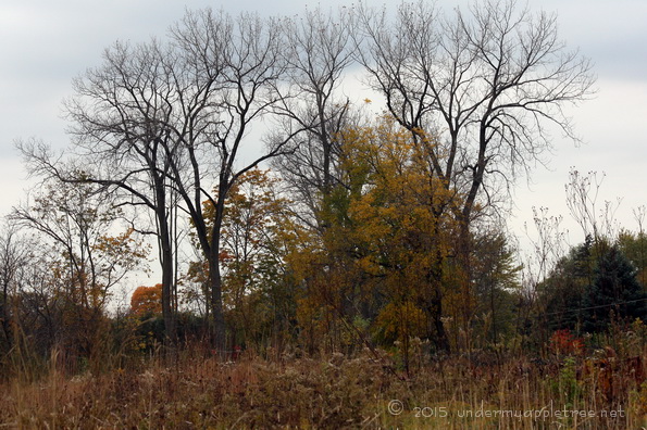 AutumnChruchill_IMG_5032