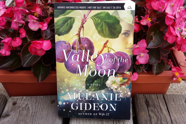 BooksJuly11_20160710_180801