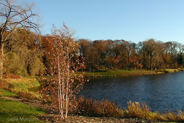 Lake Ellyn