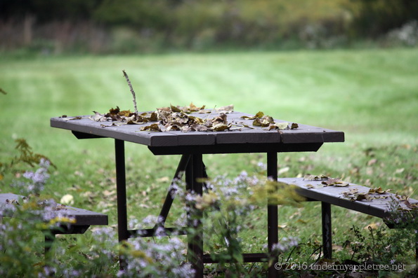 picnictable_chwoods_img_5669