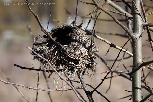 emptynest_img_5762